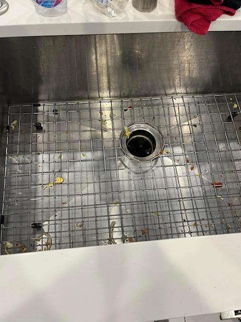 Kitchen Sink — Before